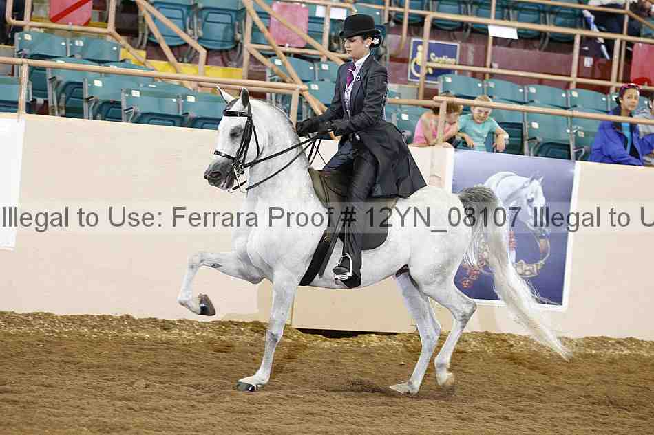 Proof 12yn_08107
