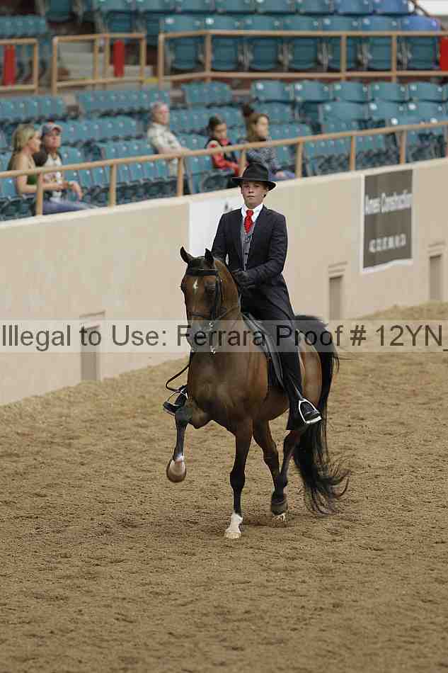 Proof 12yn_08108
