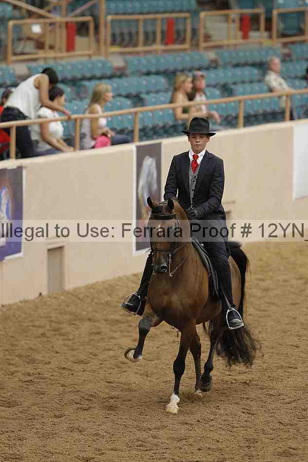 Proof 12yn_08109