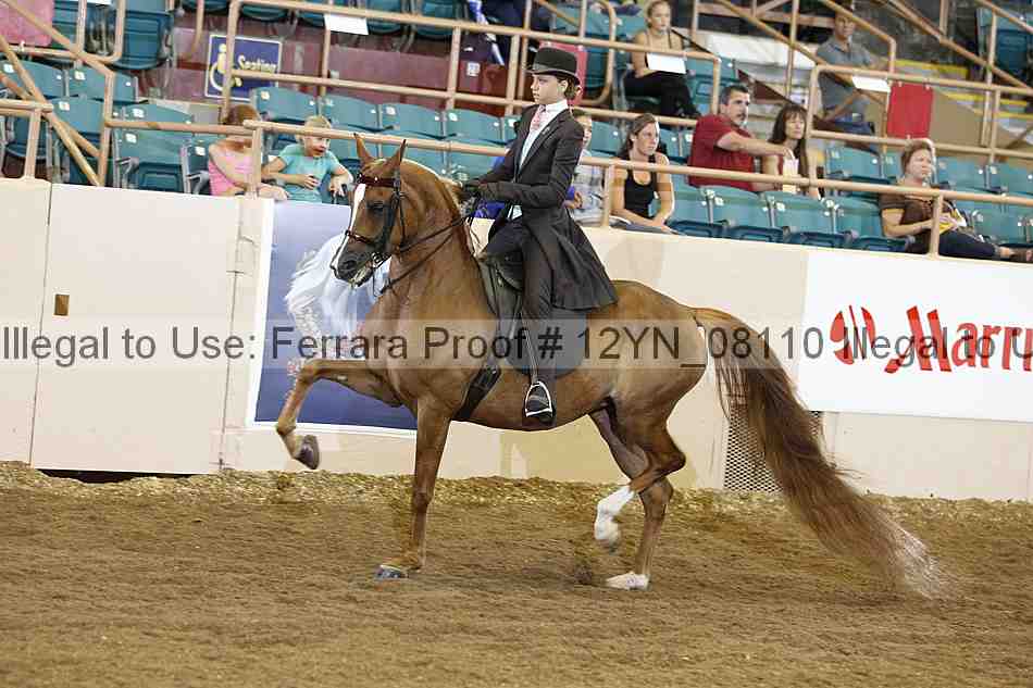 Proof 12yn_08110