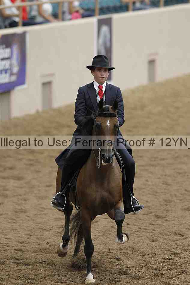 Proof 12yn_08111