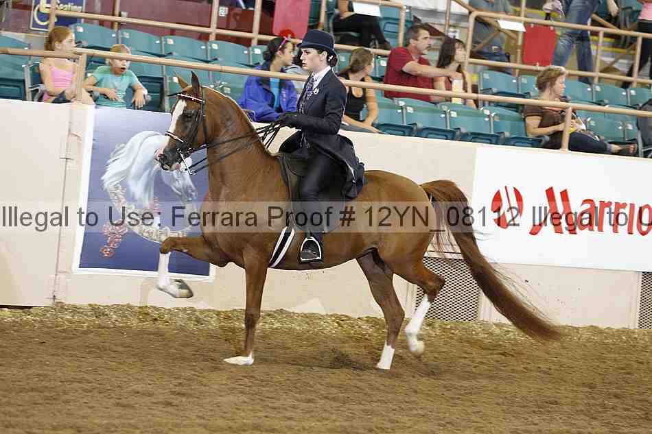 Proof 12yn_08112