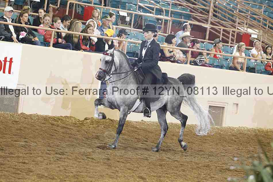 Proof 12yn_08113