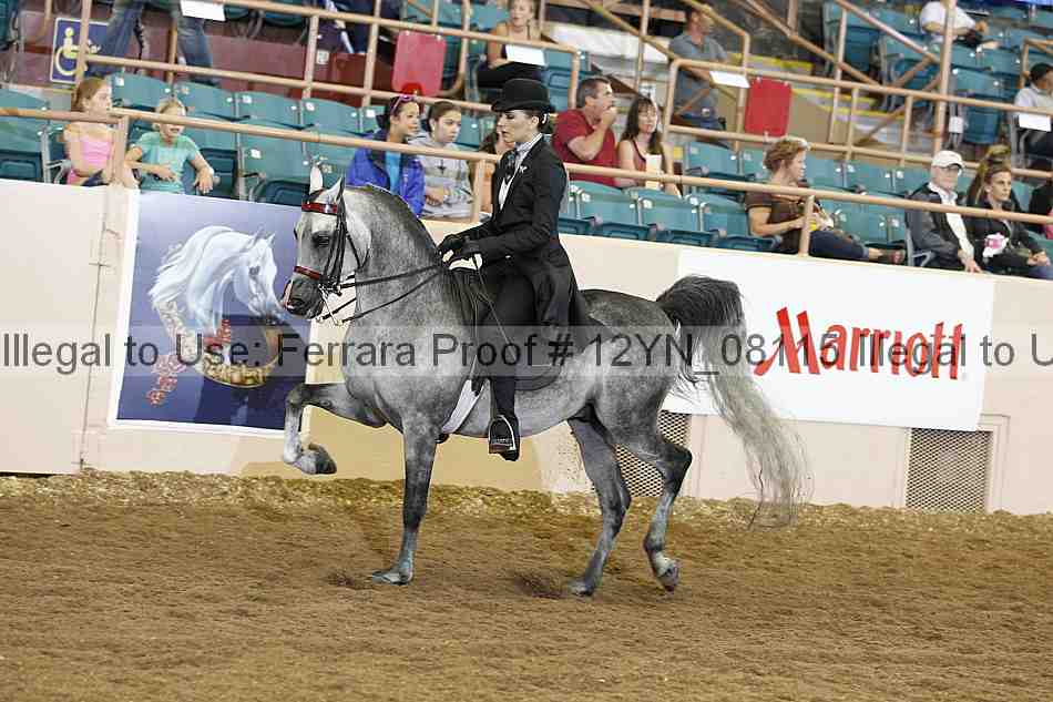 Proof 12yn_08115