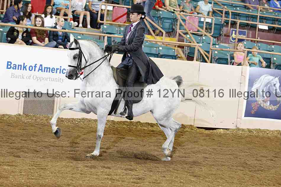 Proof 12yn_08116