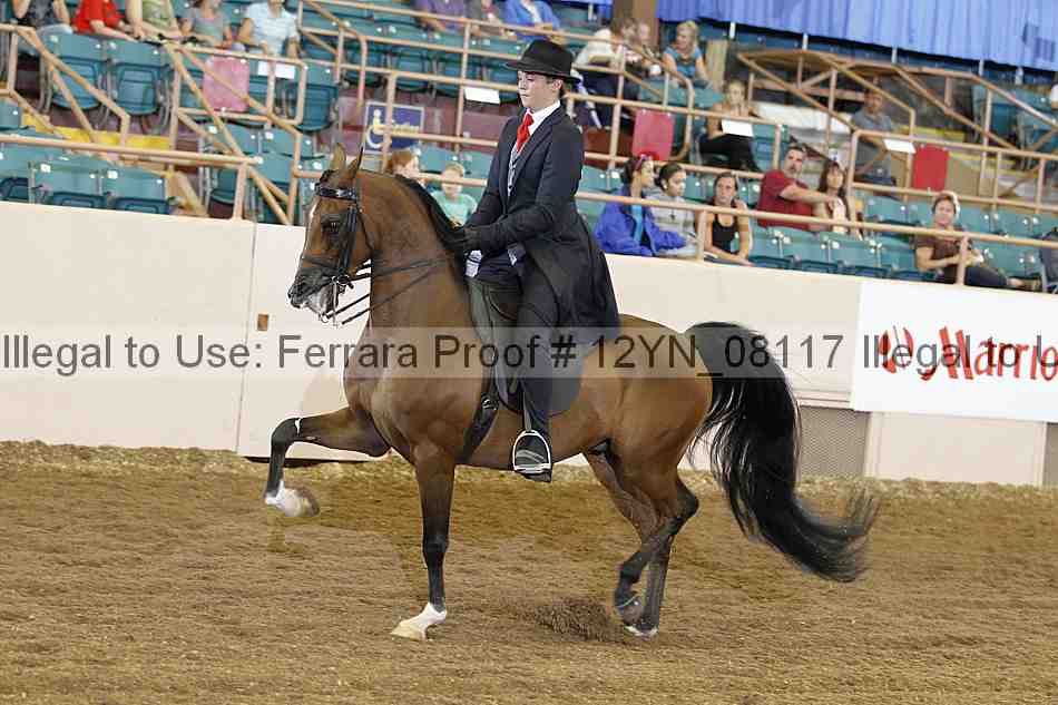 Proof 12yn_08117