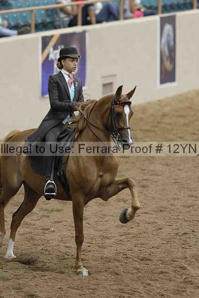 Proof 12yn_08118