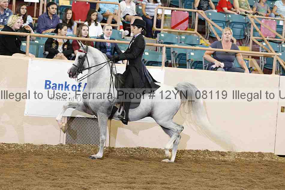 Proof 12yn_08119