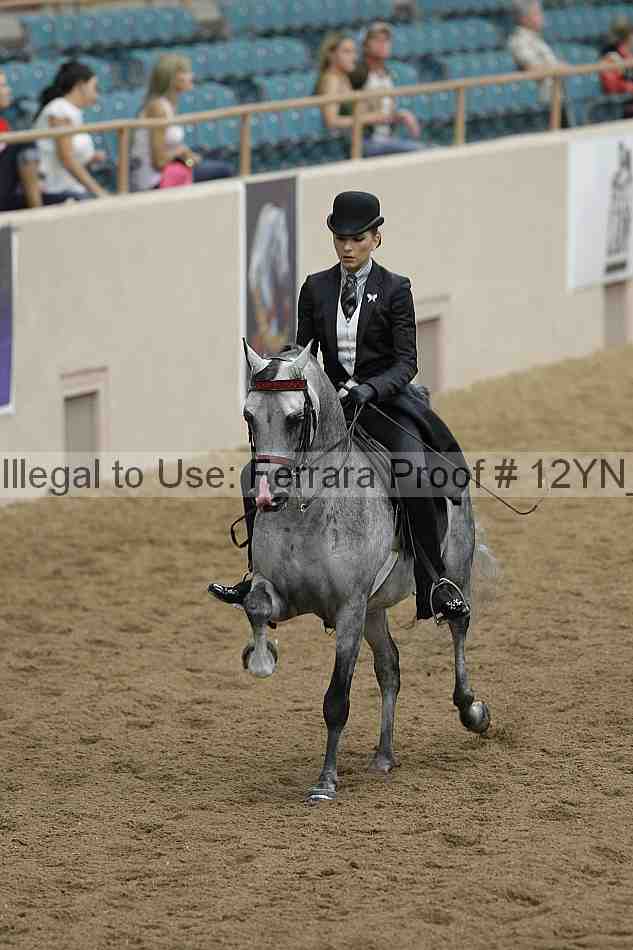 Proof 12yn_08120