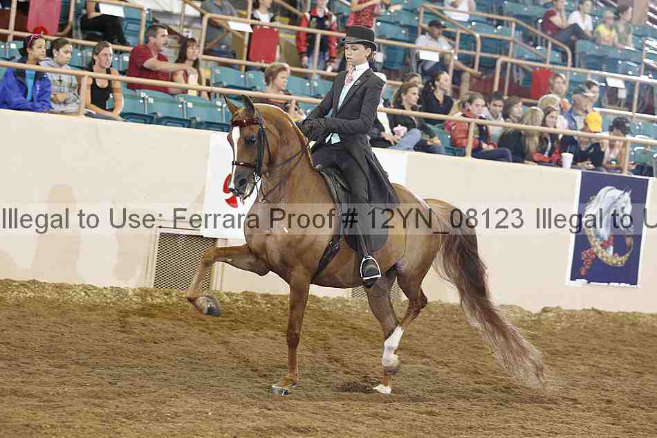 Proof 12yn_08123