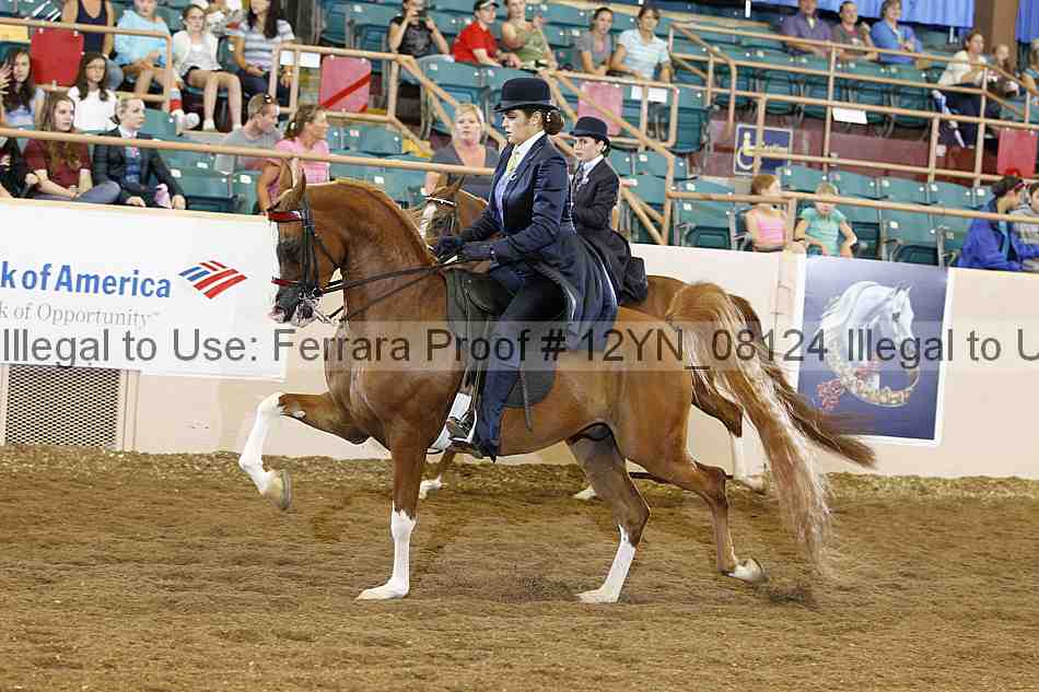 Proof 12yn_08124