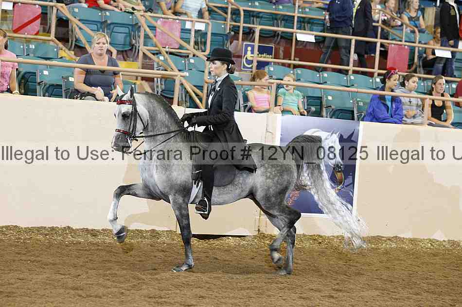Proof 12yn_08125
