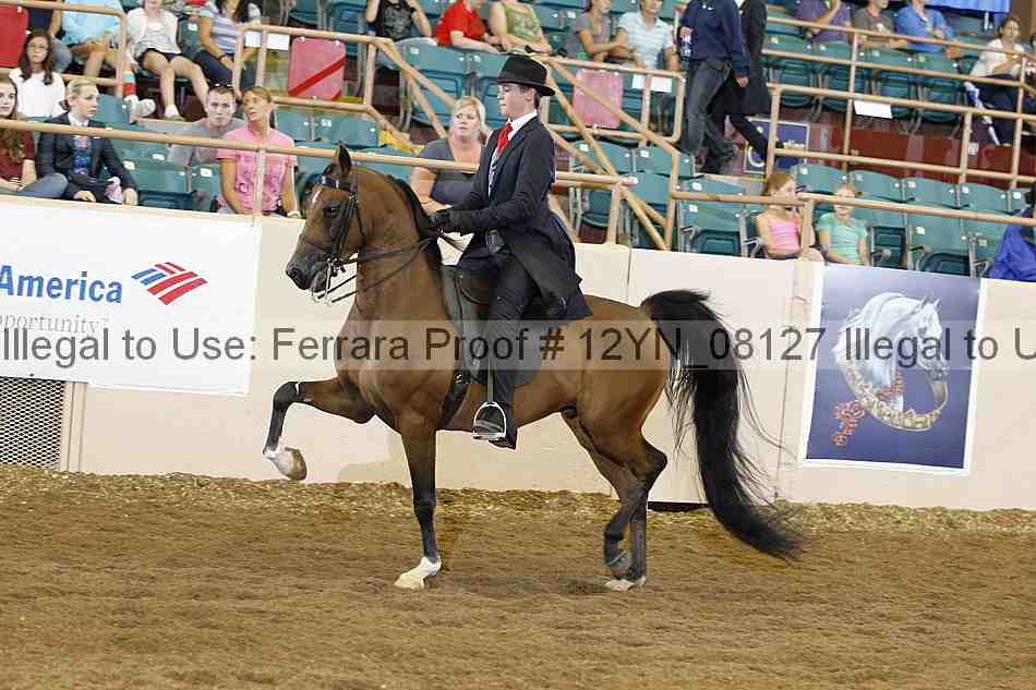 Proof 12yn_08127