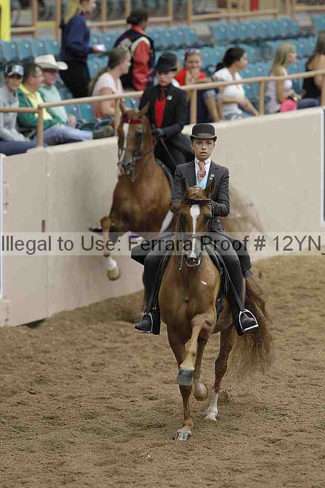 Proof 12yn_08129