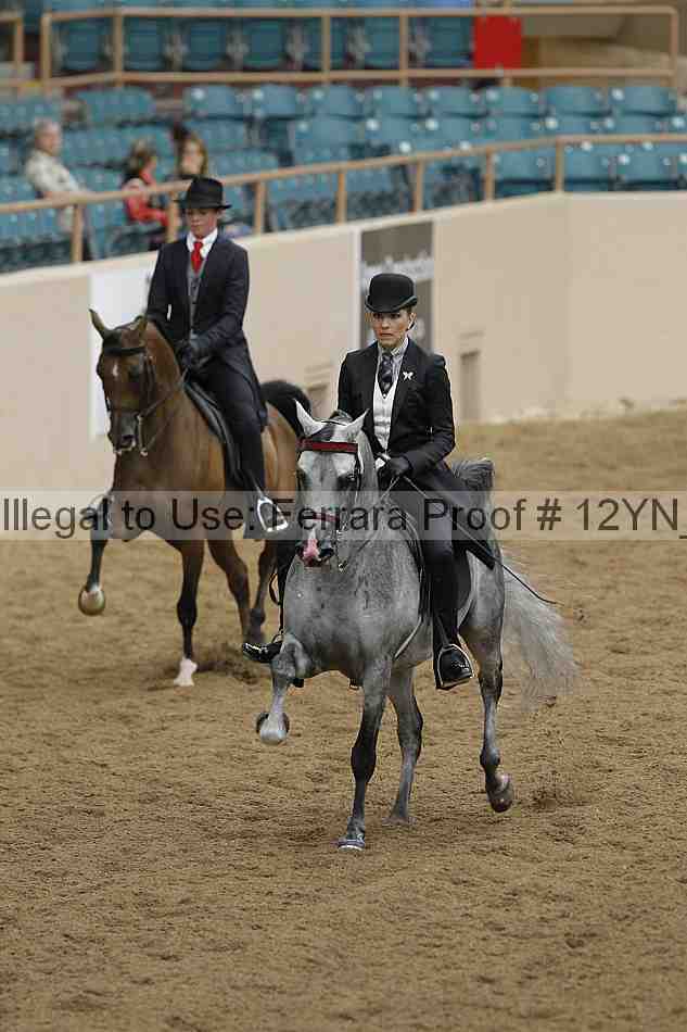 Proof 12yn_08131