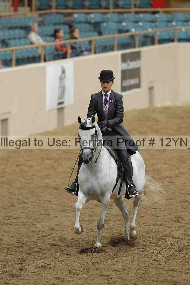 Proof 12yn_08134