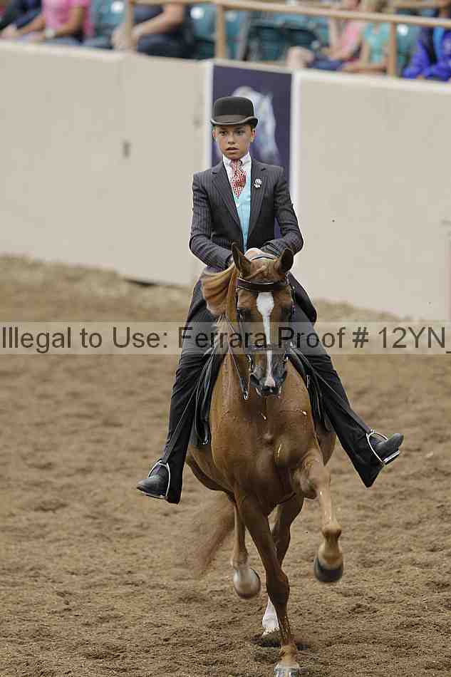 Proof 12yn_08135