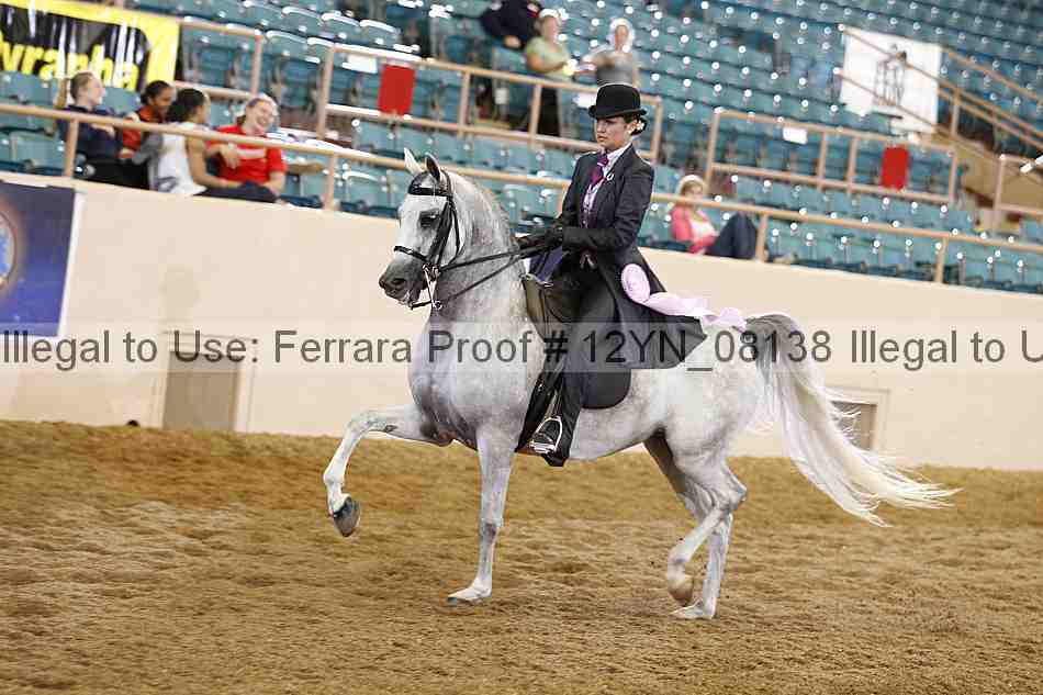 Proof 12yn_08138