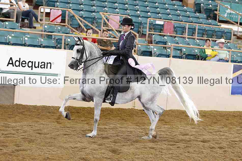 Proof 12yn_08139