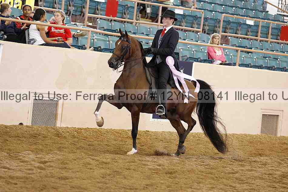 Proof 12yn_08141