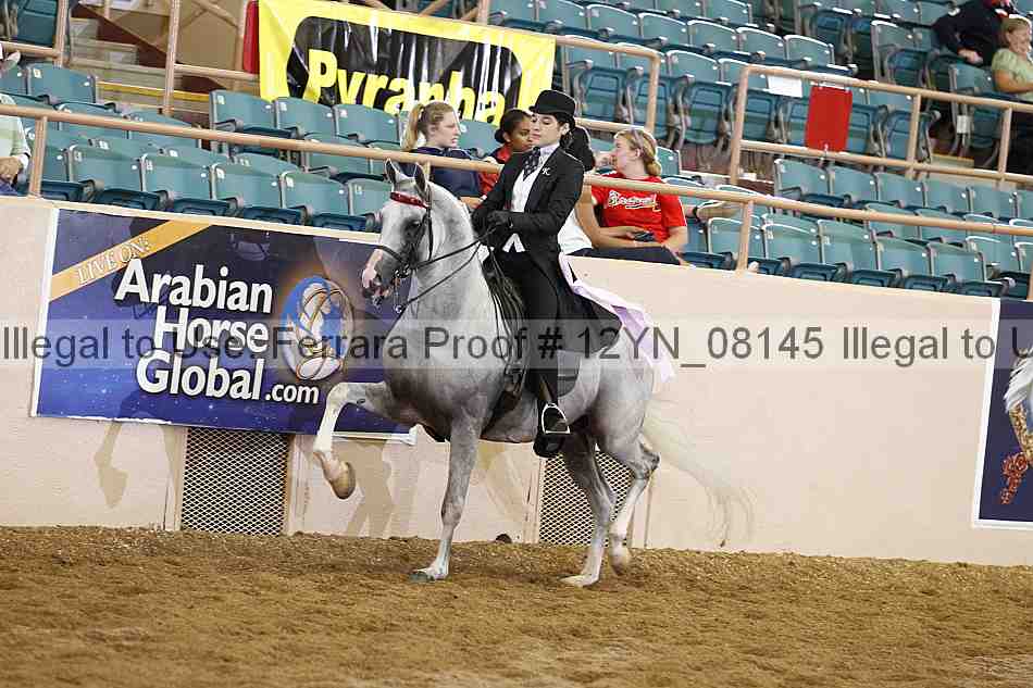 Proof 12yn_08145