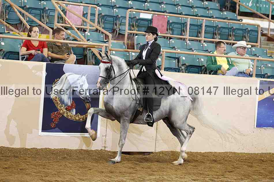 Proof 12yn_08147