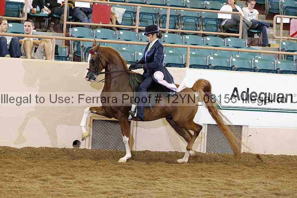 Proof 12yn_08153