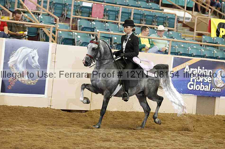 Proof 12yn_08154