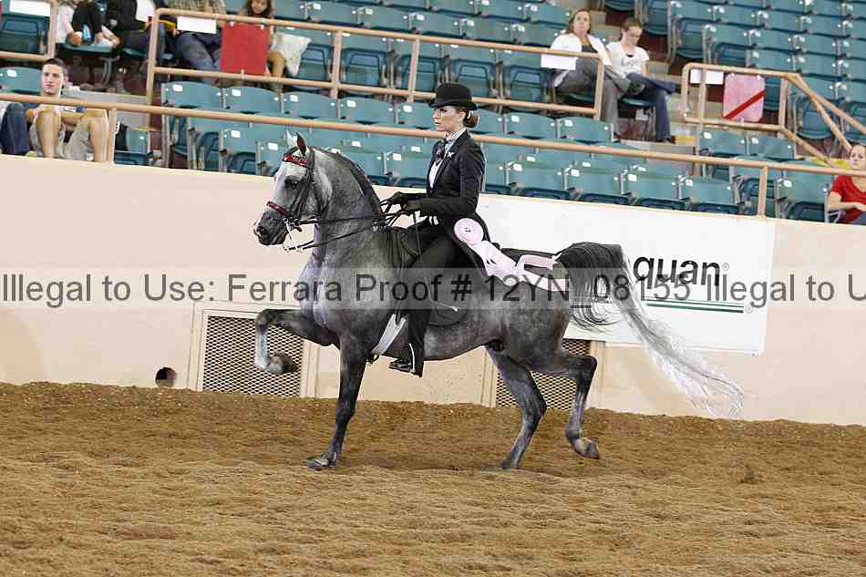 Proof 12yn_08155