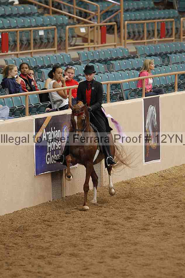 Proof 12yn_08156