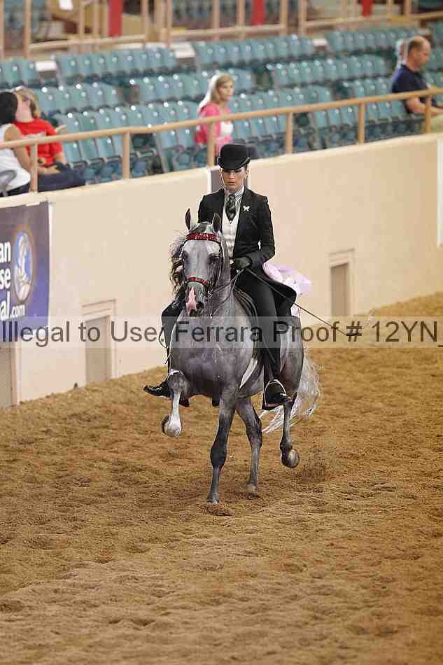 Proof 12yn_08158