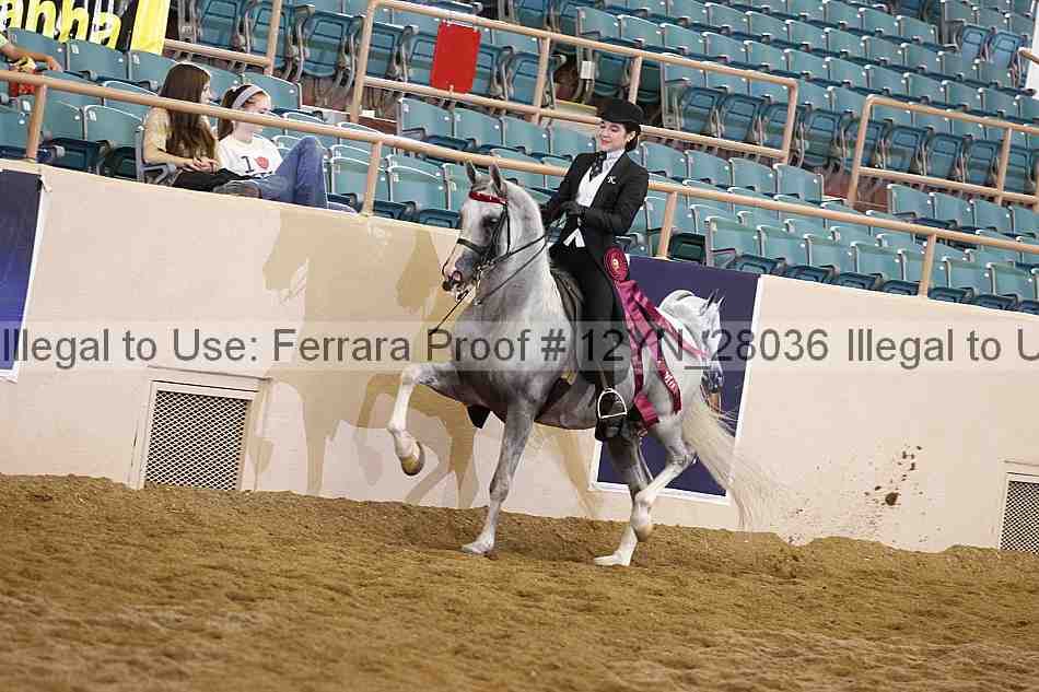 Proof 12yn_28036