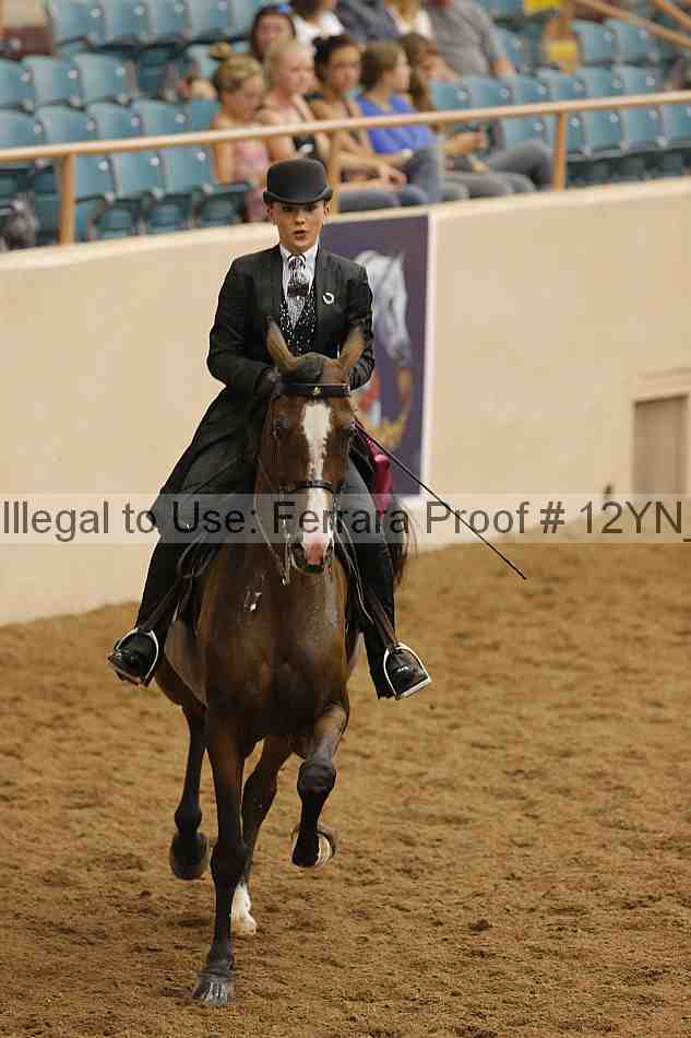 Proof 12yn_28039