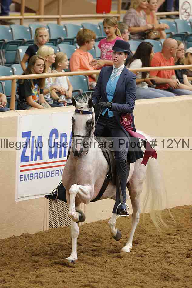 Proof 12yn_28044