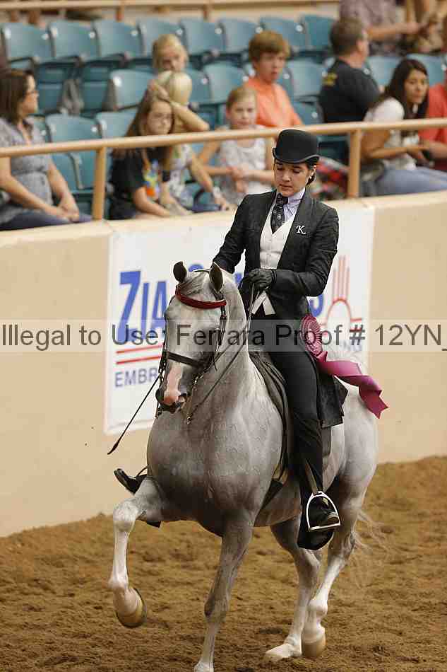 Proof 12yn_28049