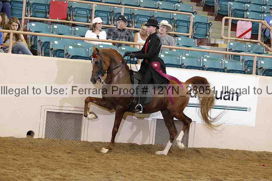 Proof 12yn_28051