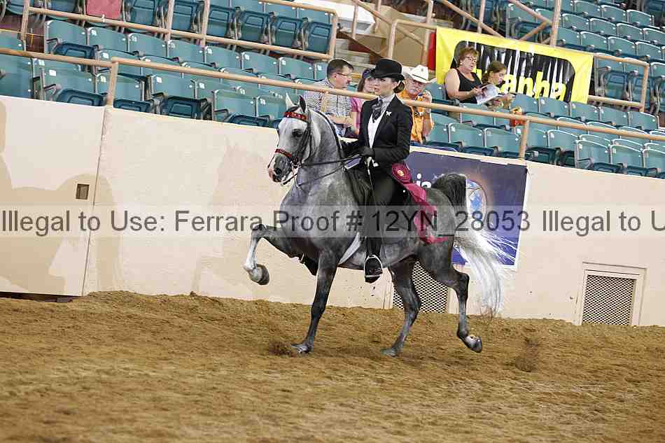 Proof 12yn_28053