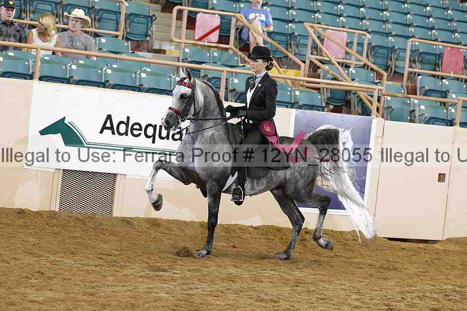 Proof 12yn_28055