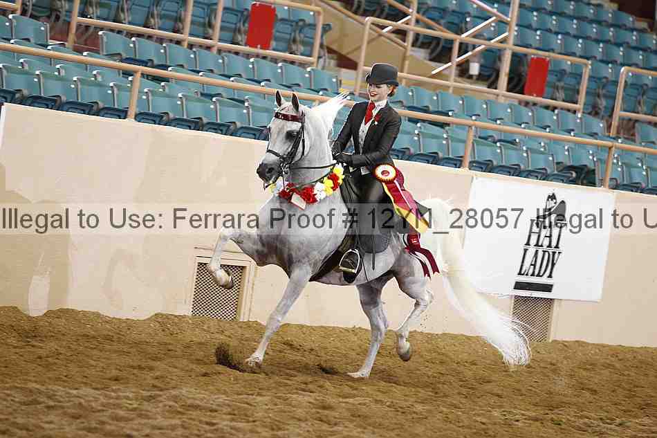 Proof 12yn_28057