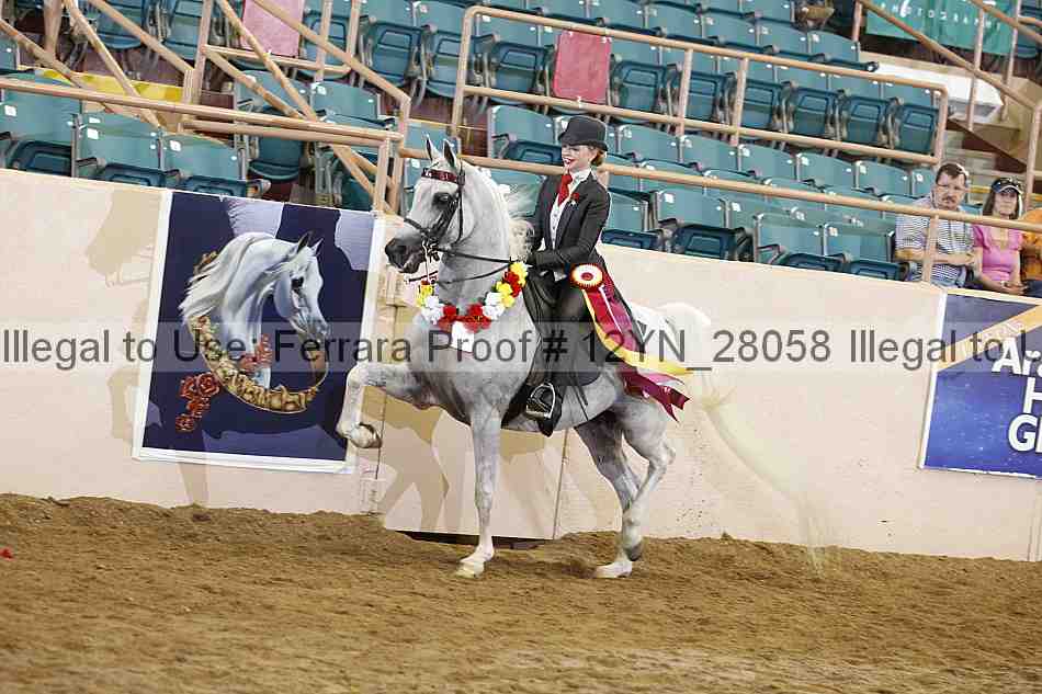 Proof 12yn_28058