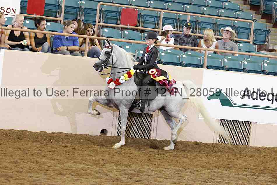 Proof 12yn_28059
