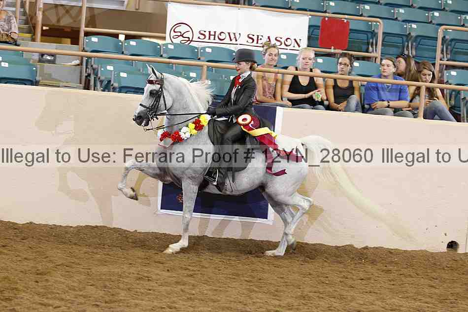 Proof 12yn_28060