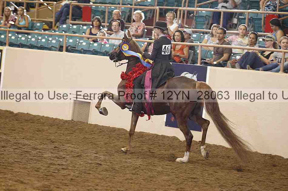 Proof 12yn_28063