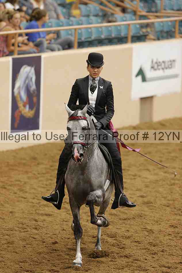 Proof 12yn_28065