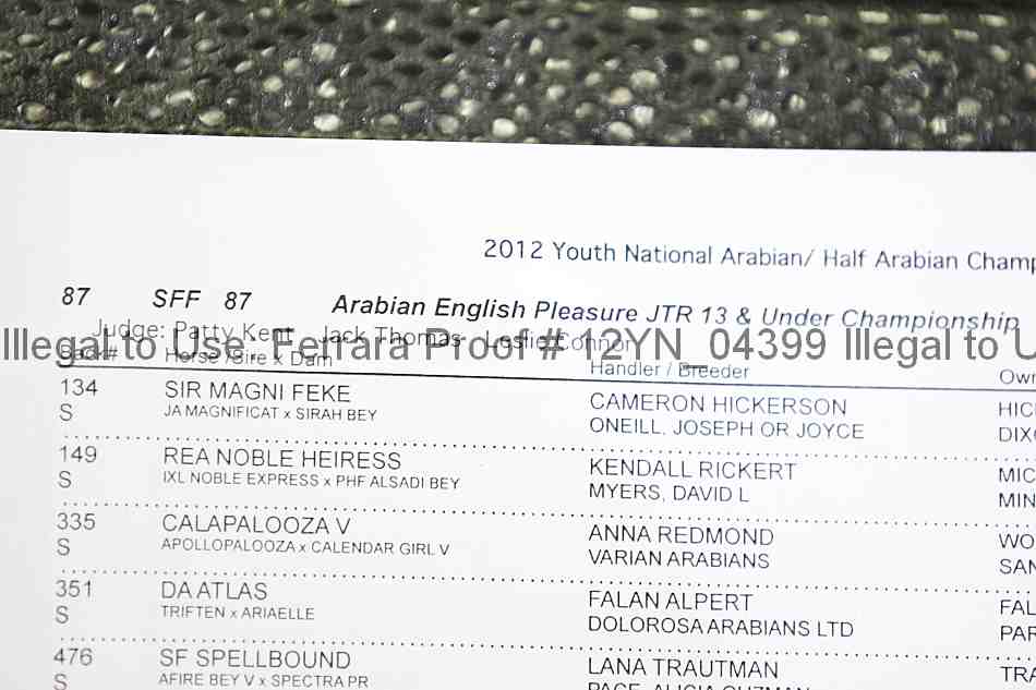 Proof 12yn_04399