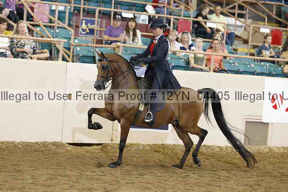 Proof 12yn_04405