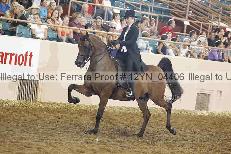 Proof 12yn_04406