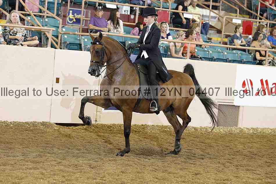 Proof 12yn_04407