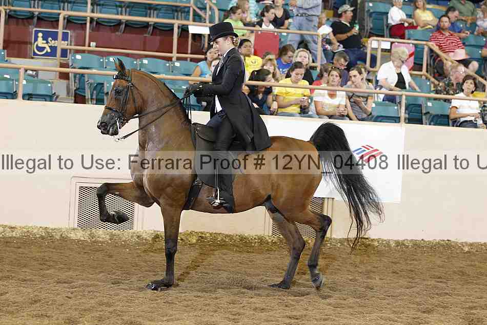 Proof 12yn_04408