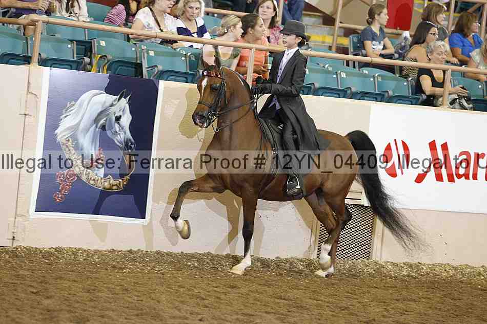 Proof 12yn_04409